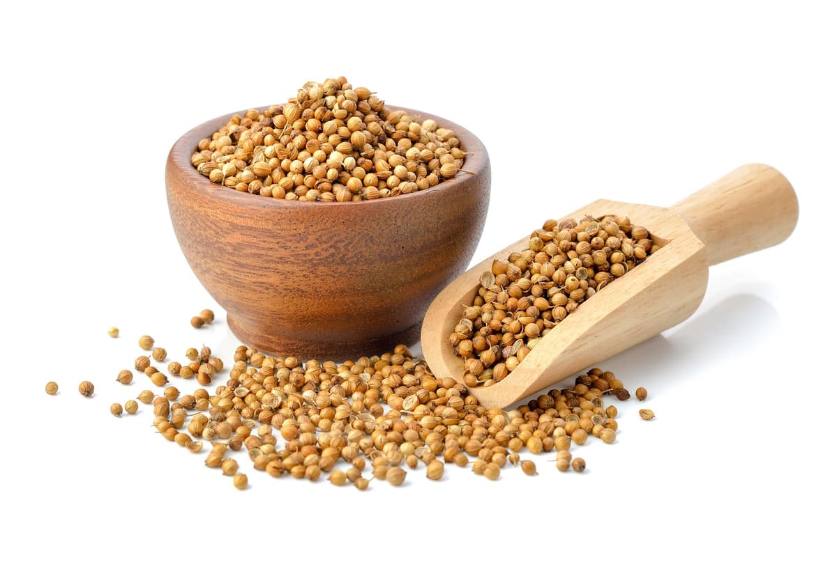 Premium Export Quality Dried Whole Coriander Seeds for International Spice Trade